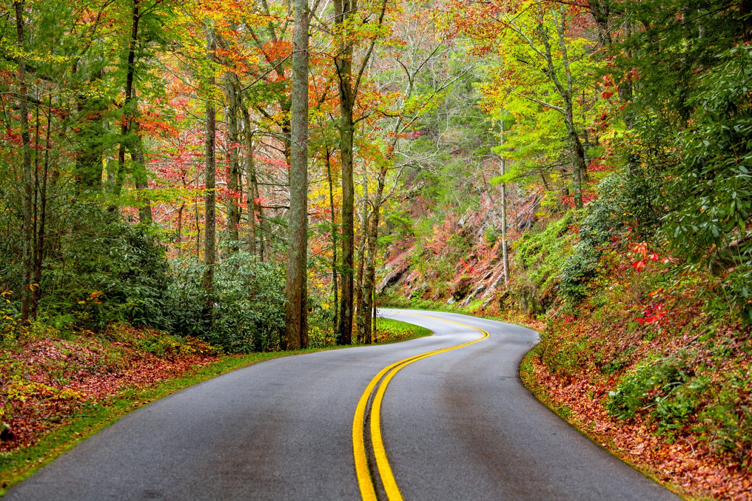 USA holiday packages for cross-country road trips